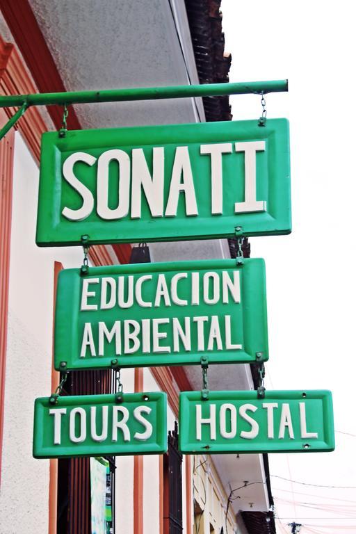 Hostal Sonati เลออน ภายนอก รูปภาพ