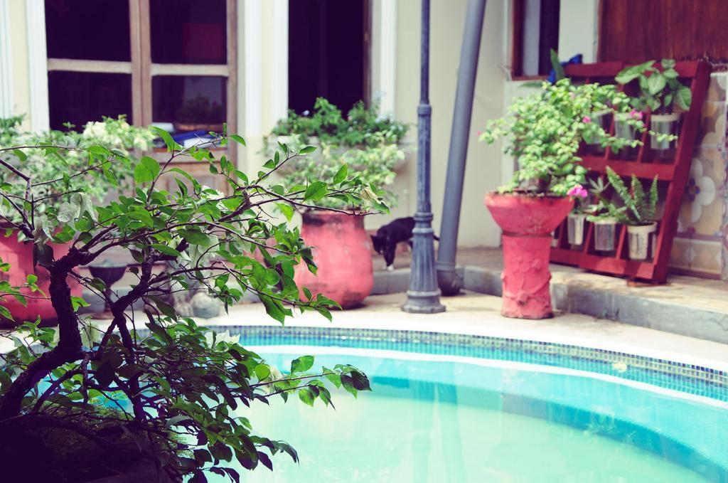 Hostal Sonati เลออน ภายนอก รูปภาพ